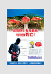 毒蘑菇
