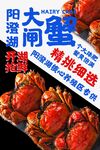 大闸蟹