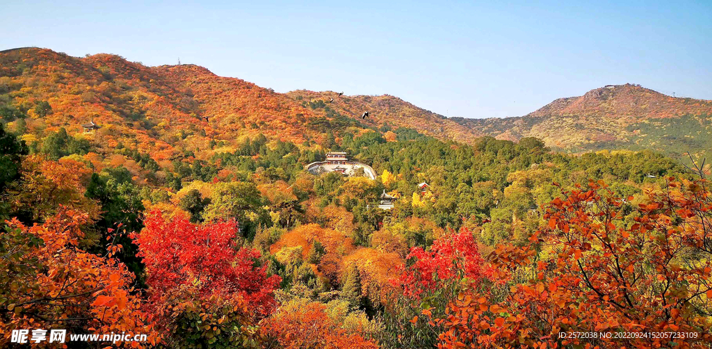 北京香山公园