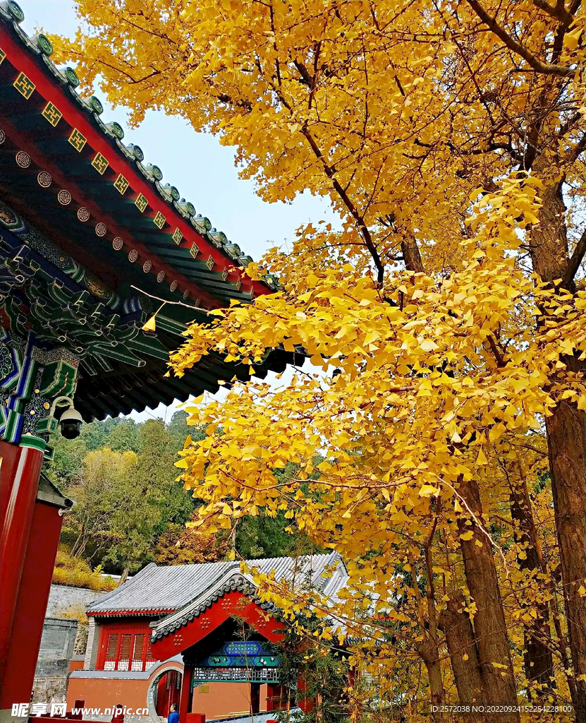 北京香山公园