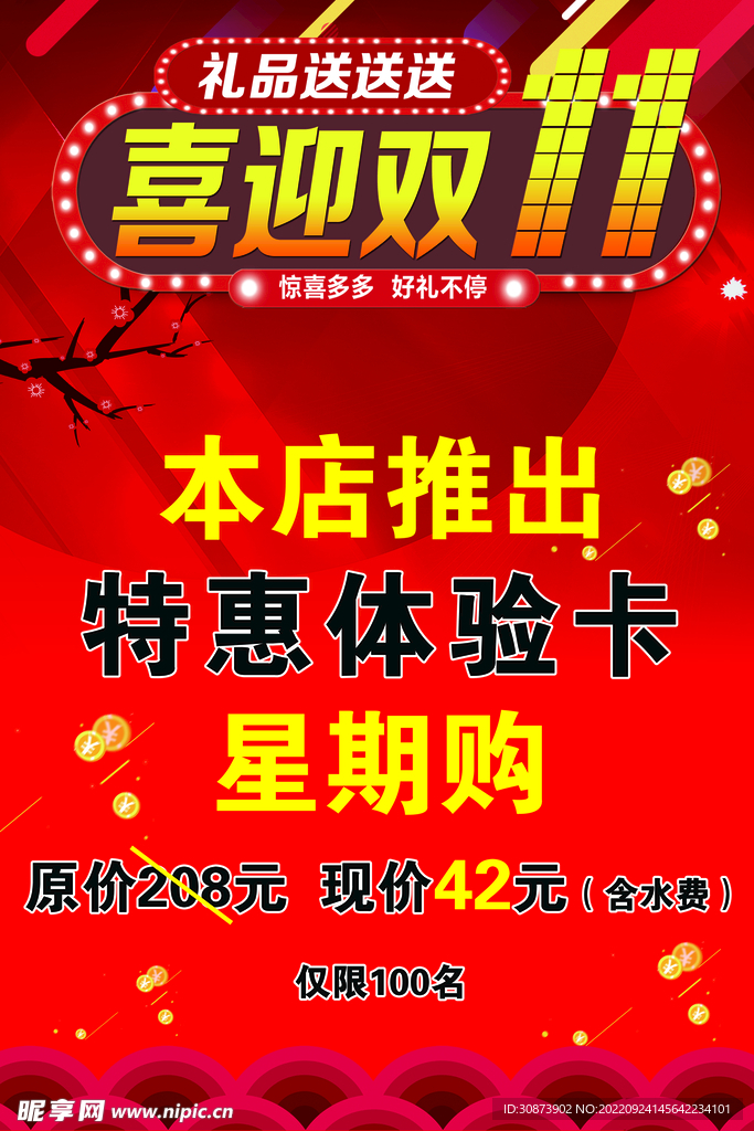 双11