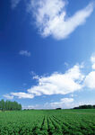 天空