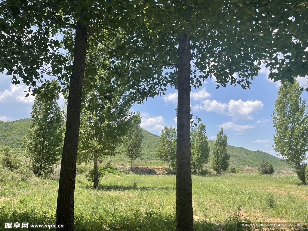 风景