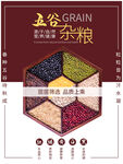 五谷杂粮  杂粮海报素材 粮食