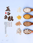 五谷杂粮  杂粮海报素材 粮食