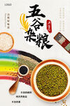 五谷杂粮  杂粮海报素材 粮食