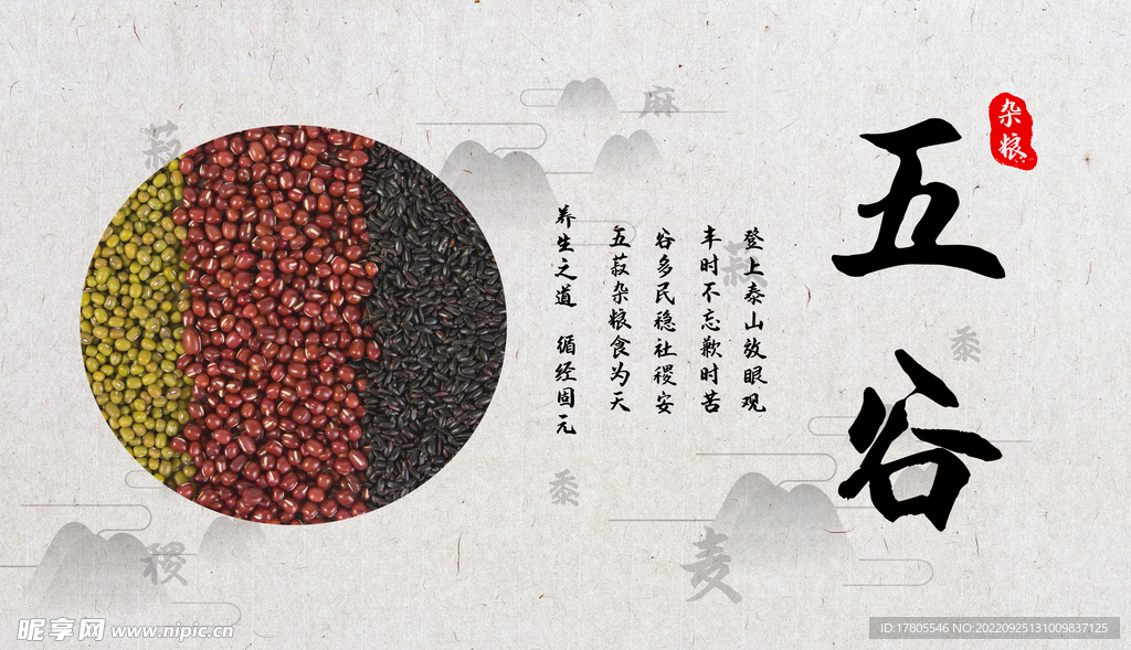 五谷杂粮  杂粮海报素材 粮食