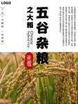 五谷杂粮  杂粮海报素材 粮食