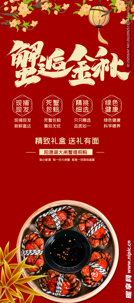 大闸蟹展架