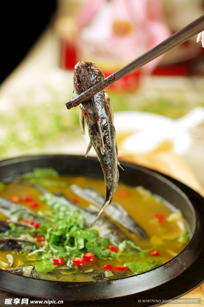 农家仔鲢
