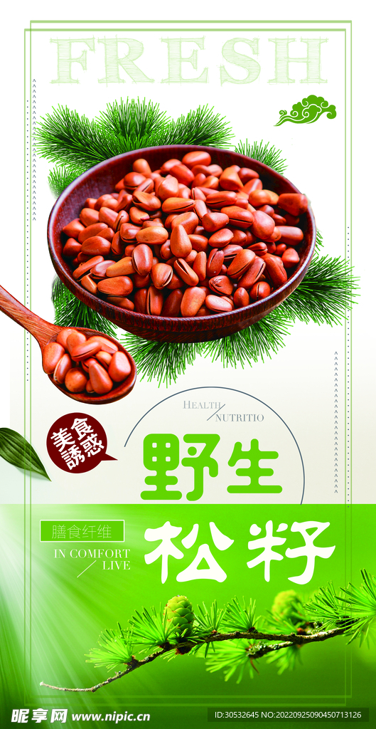 野生松籽