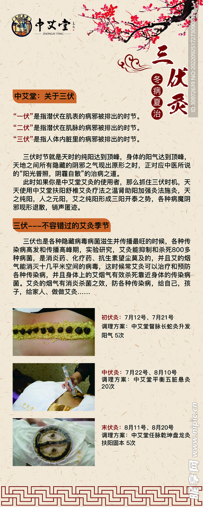中国风三伏养生艾灸展架