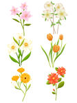 花卉 