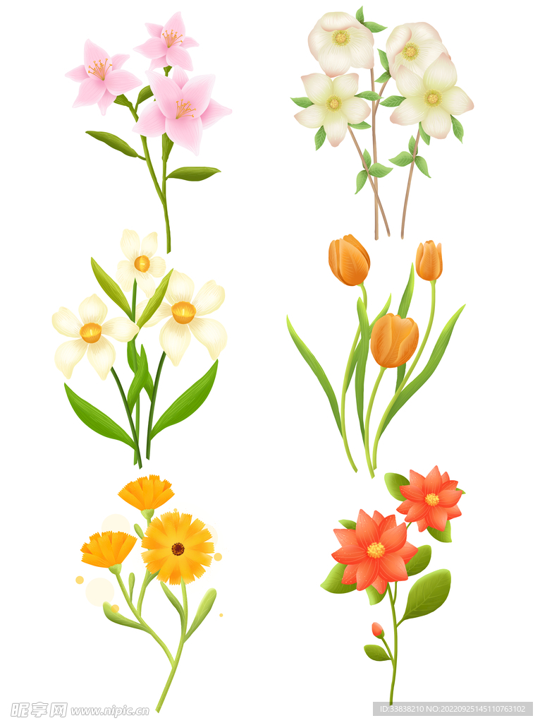 花卉 