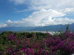 洱海