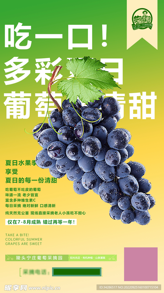 水果海报