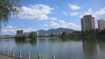 江边风景 景色素材 河边美景 