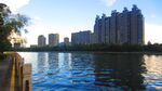 江边风景  景色素材 河边美景