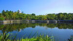 江边风景  景色素材 河边美景