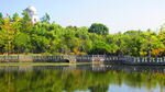 江边风景  景色素材 河边美景