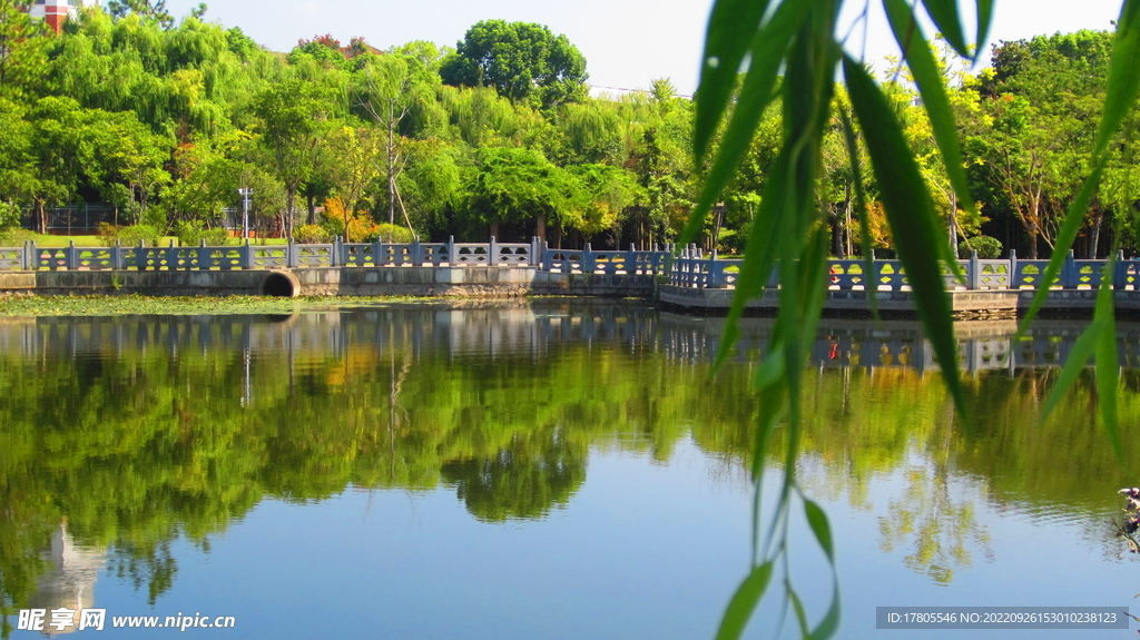 江边风景  景色素材 河边美景