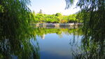江边风景 景色素材 河边美景 