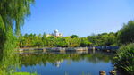 江边风景  景色素材 河边美景