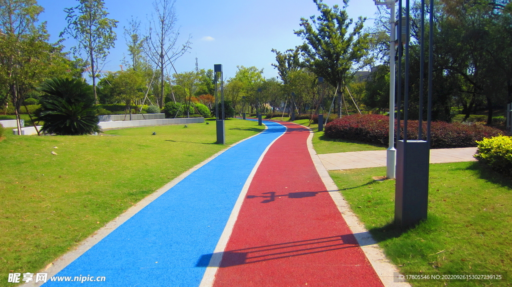 彩虹跑道  道路  健康 慢跑