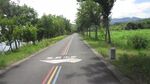 街道绿化 街边风景素材 公路 