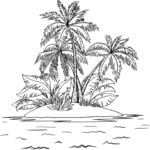 椰子树和海滩