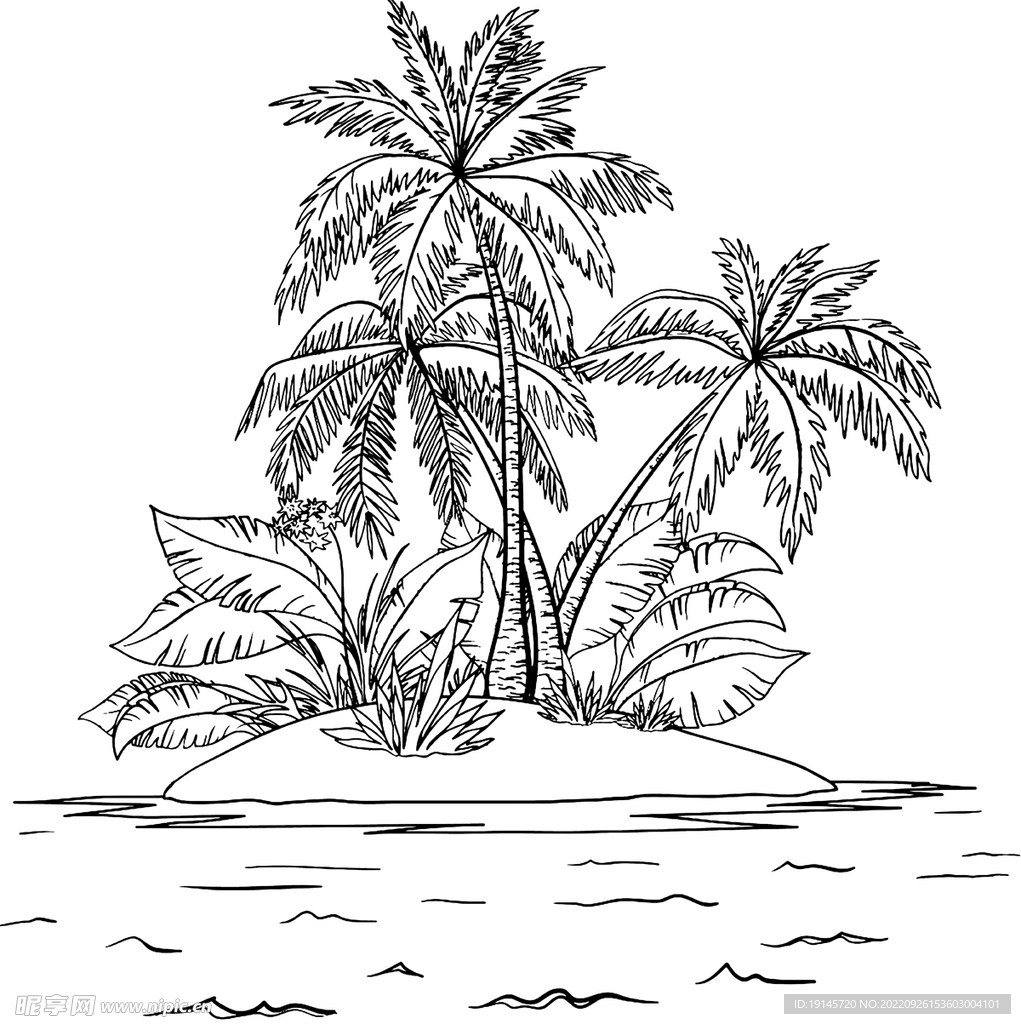 椰子树和海滩