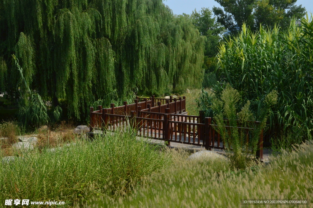 园林风景 
