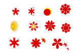 小花