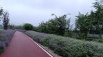 公路