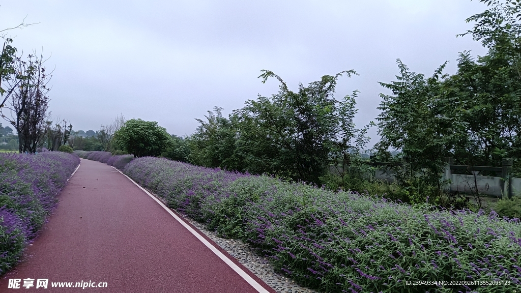 公路