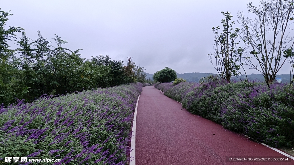 公路