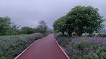 公路