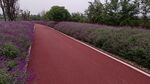 公路