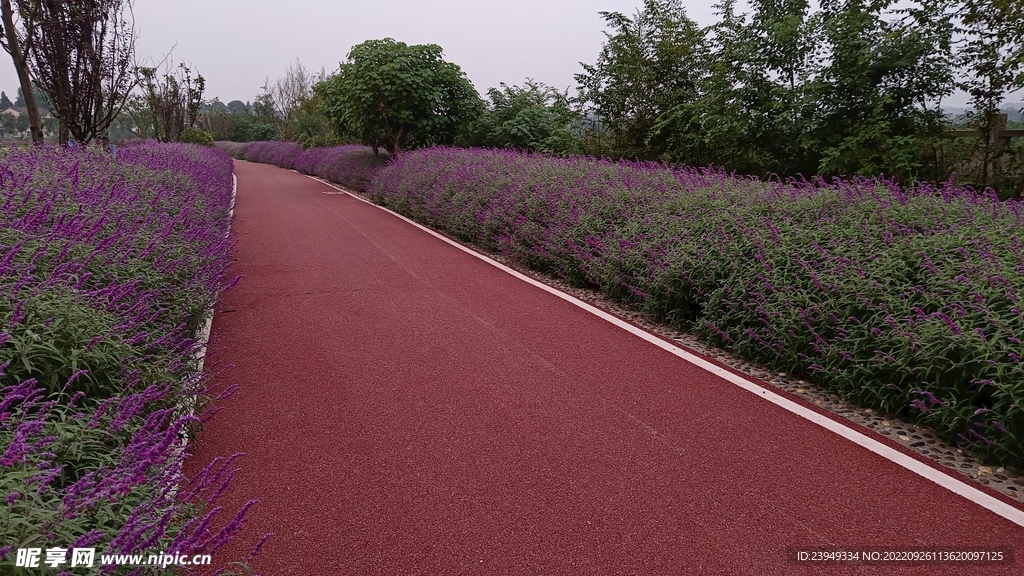 公路