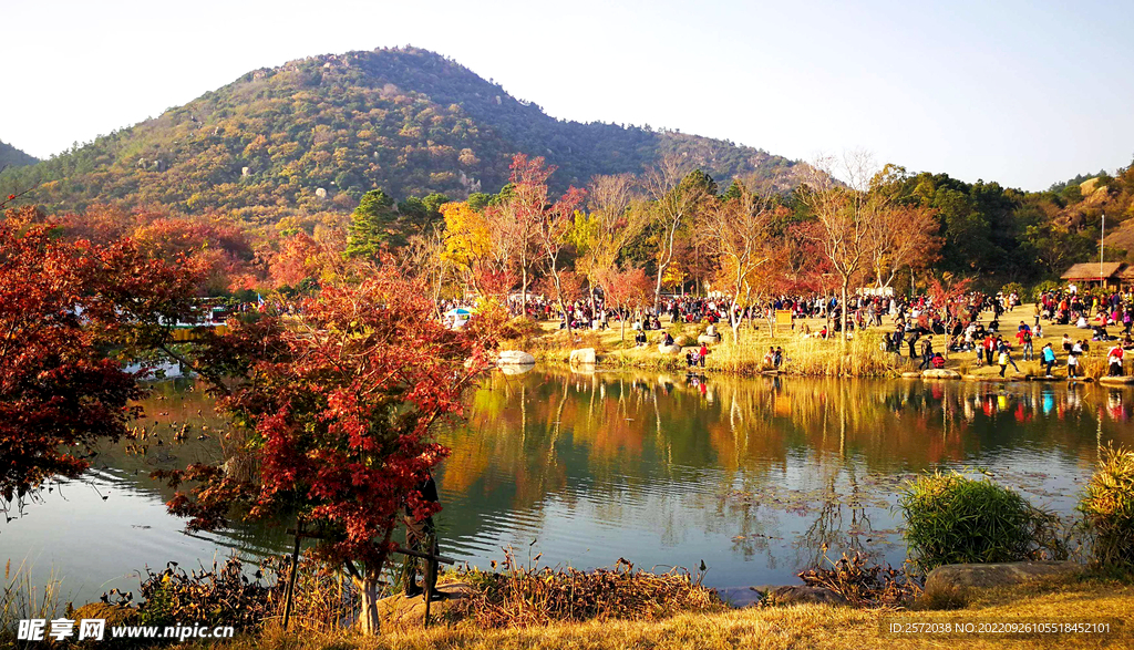 天平山秋天