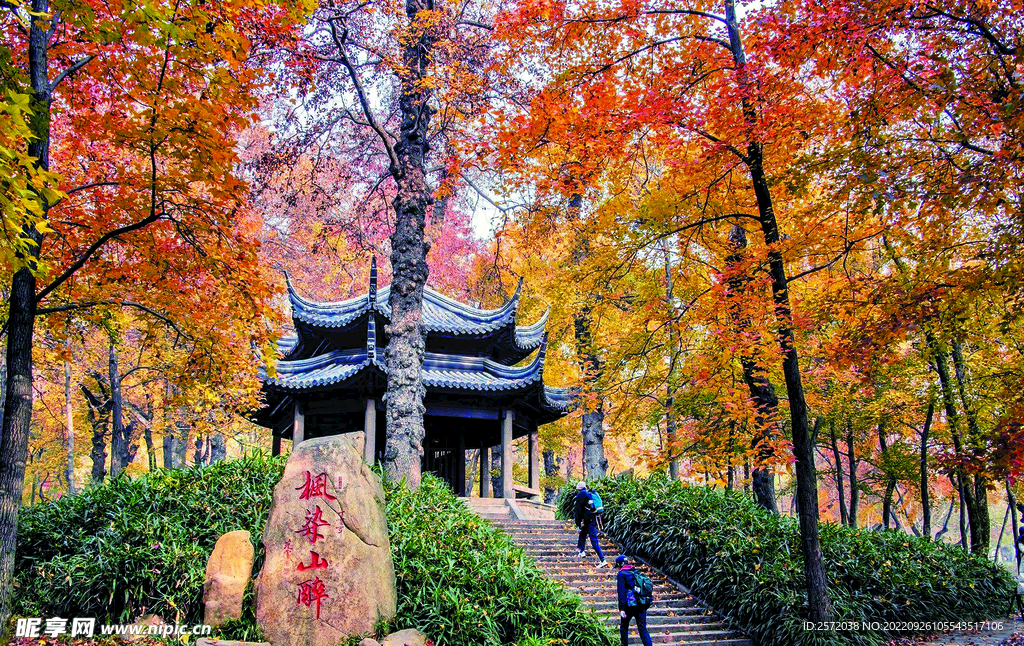 天平山秋天