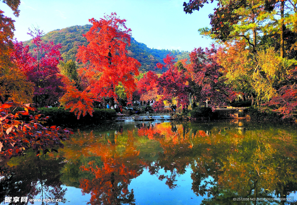 天平山秋天