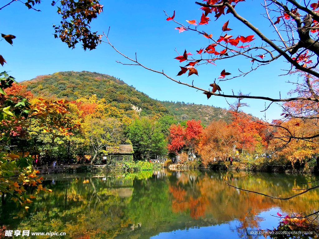 天平山秋天