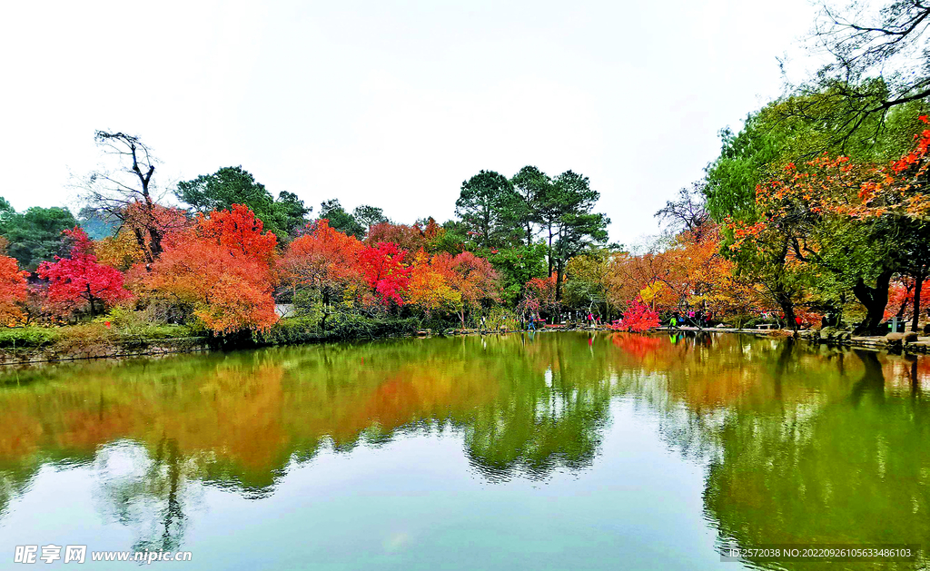 天平山秋天