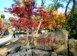 天平山秋天