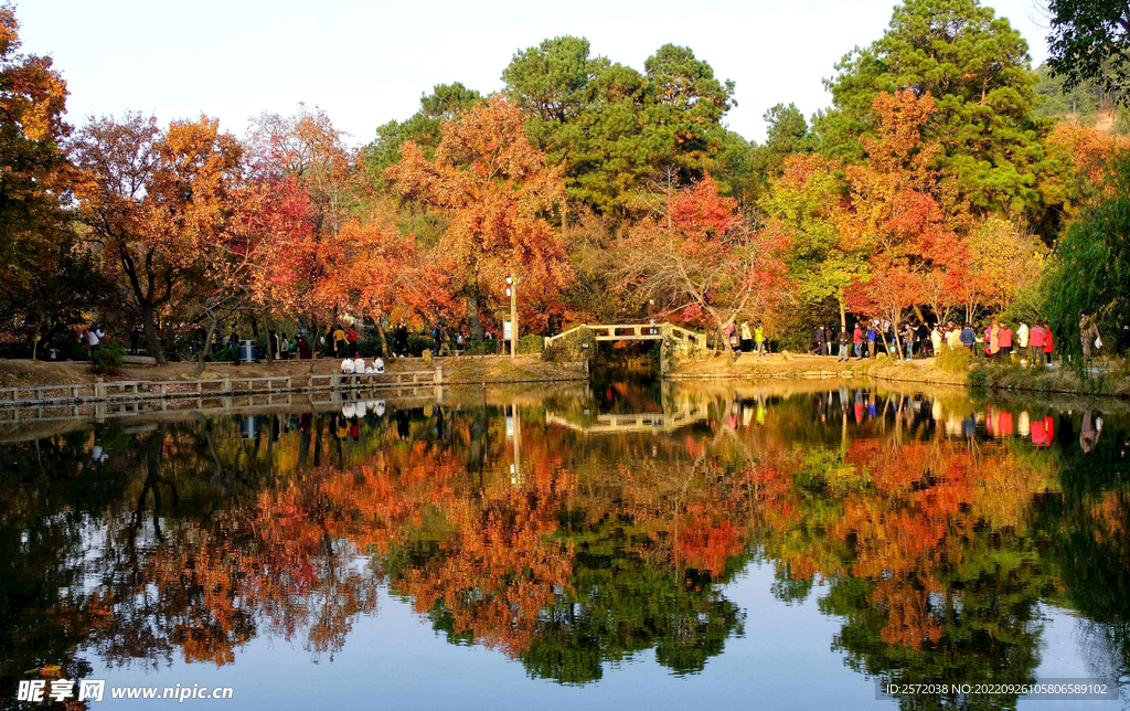 天平山秋天