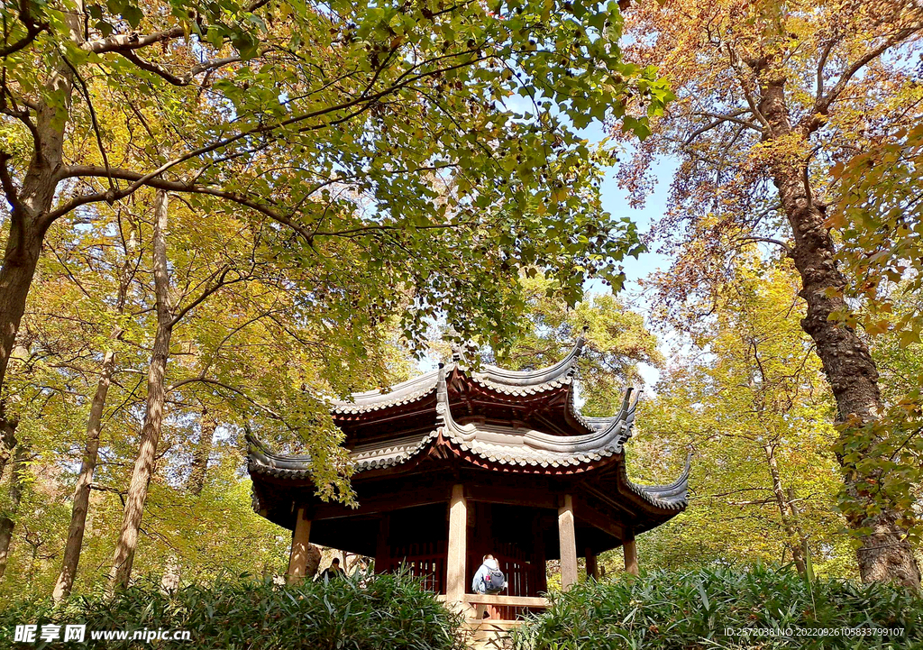 天平山秋天