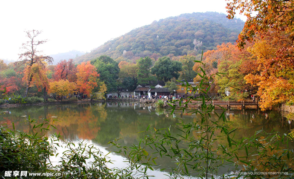 天平山秋天