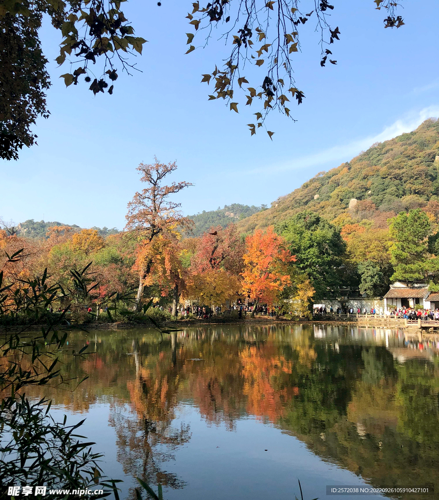 天平山秋天