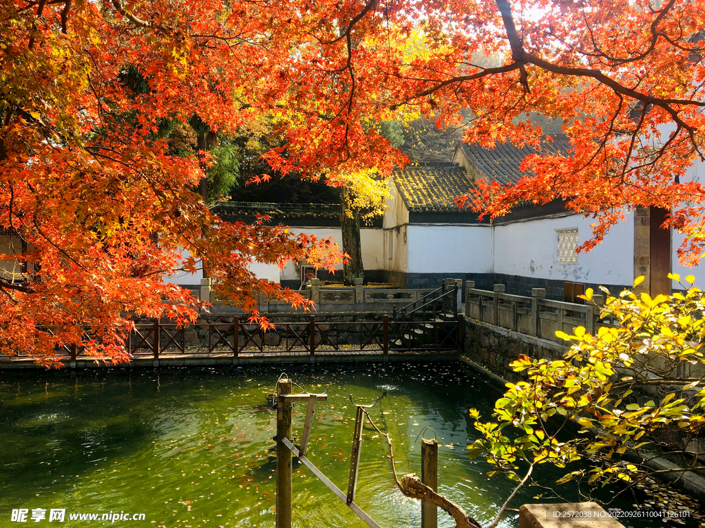 天平山秋天